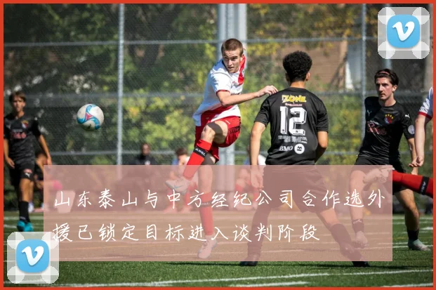 山东泰山与中方经纪公司合作选外援已锁定目标进入谈判阶段