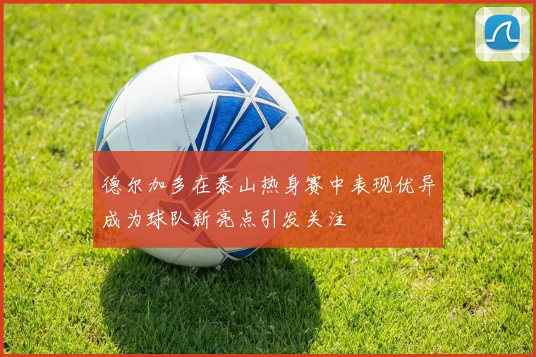 德尔加多在泰山热身赛中表现优异成为球队新亮点引发关注