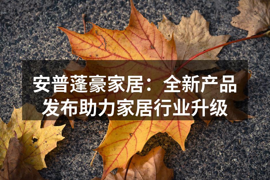 安普蓬豪家居：全新产品发布助力家居行业升级