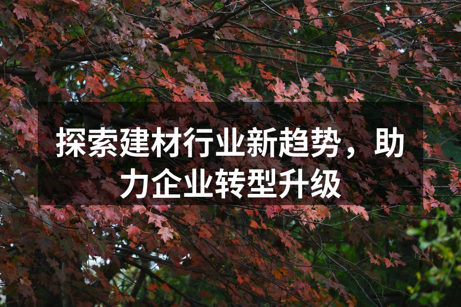 探索建材行业新趋势，助力企业转型升级